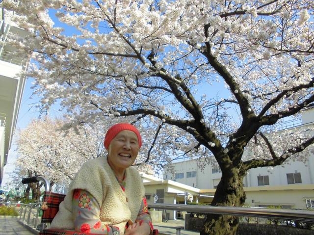 ☆お花見シリーズ☆その１