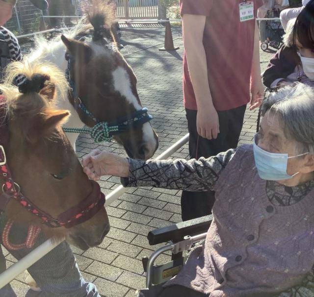 移動動物園